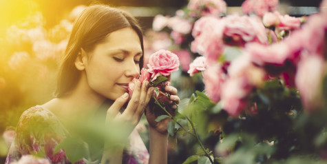 Top 10 Best Smells