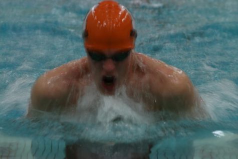Swim and dive team focuses on quality over quantity