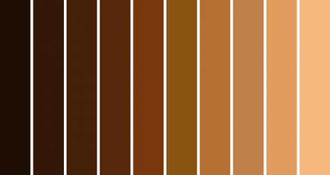 Colorism: discrimination within minority groups