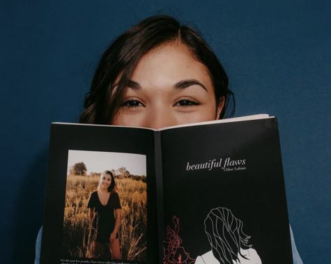 “beautiful flaws” by Portage Northern alumni review