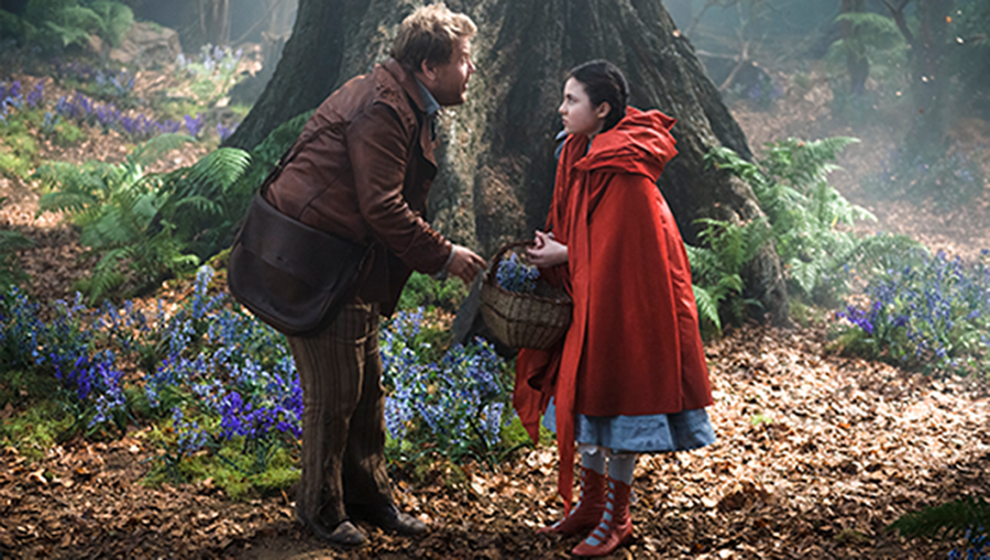 Into the Woods: a review for a tangled tale