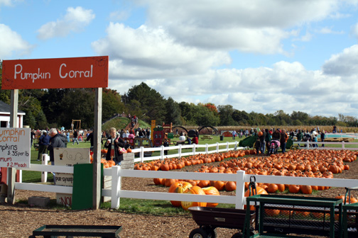 Where to go this weekend: orchards and farms