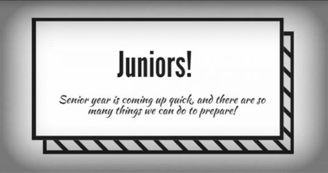 Guidance for juniors