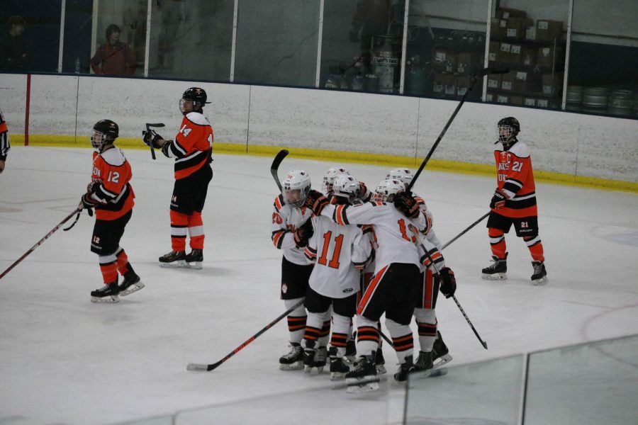 Huskie Hockey Season Recap