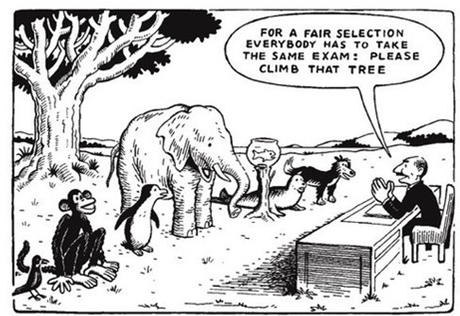 How well do standardized tests measure student abilities?