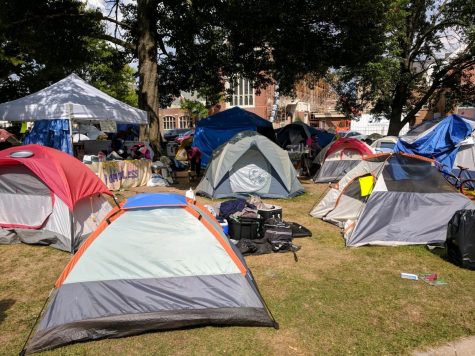 Protesters should not be filling Bronson Park