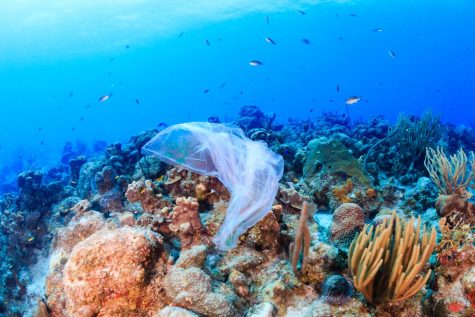 We should be more careful with the plastic in our oceans