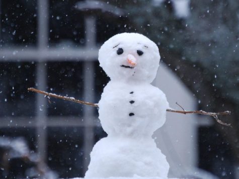 Should we cancel breaks amidst an abundance of snow days?