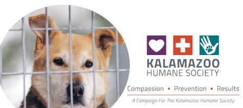 Michigan becomes a “no kill” shelter state