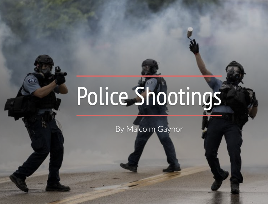 Police shootings: a portrait of the data