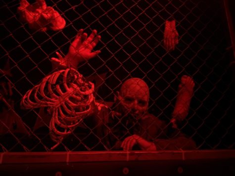 The Niles Scream Park has 7 attractions this year, including its flagship attraction, a massive haunted house.