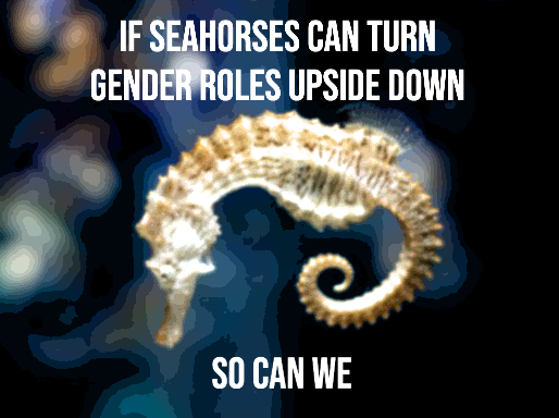 Seahorses are just one kind of animal for whom bending traditional gender roles is natural. 